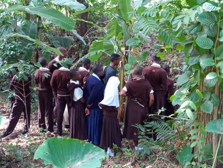 A group of students from Uroki Secondary School in Kilimanjaro observe water sources in a forest area.
